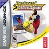 Backyard Skateboarding Box Art Front